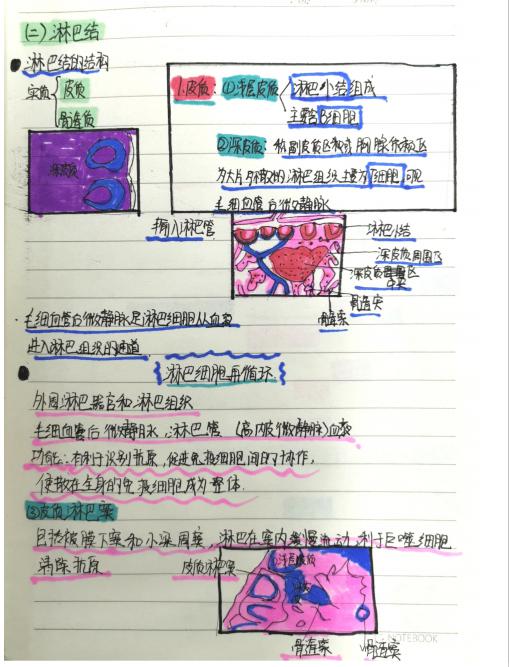 鍥剧墖3.jpg 鍥剧墖3.jpg