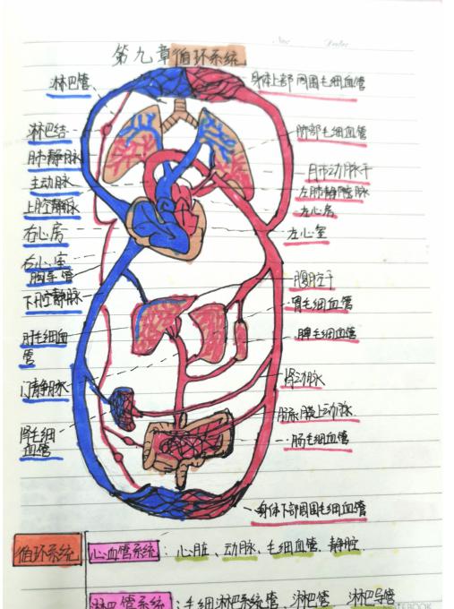 鍥剧墖4.jpg 鍥剧墖4.jpg