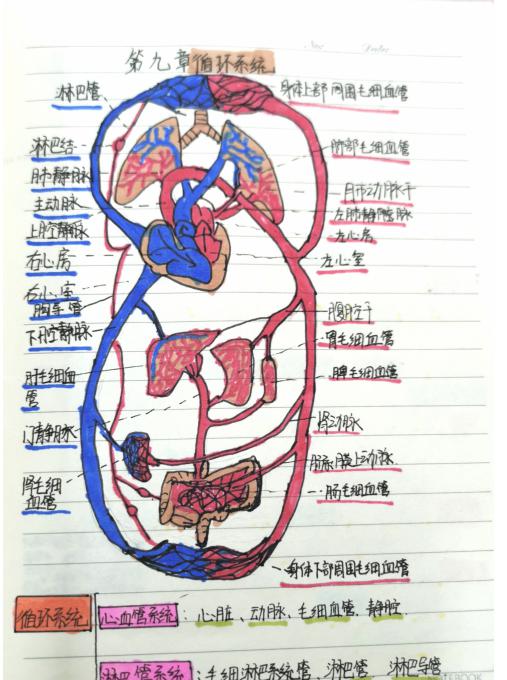 鍥剧墖4.jpg